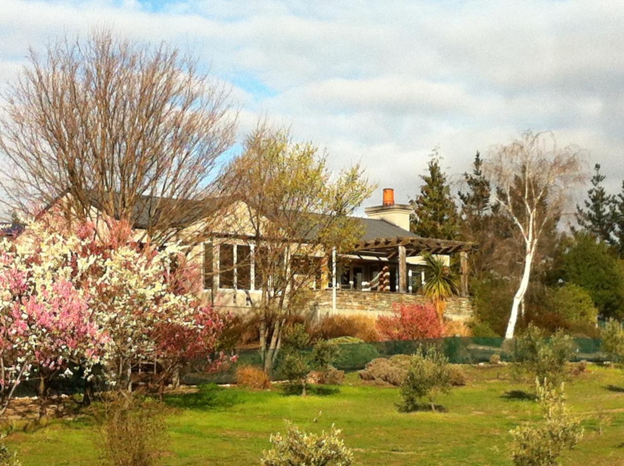 Bed and Breakfast Grey Ridge Vineyard Experience à Alexandra Extérieur photo
